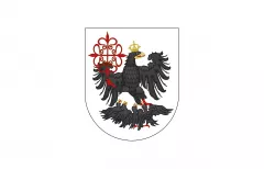 Флаг порта Буэнос-Айрес (Аргентина)
