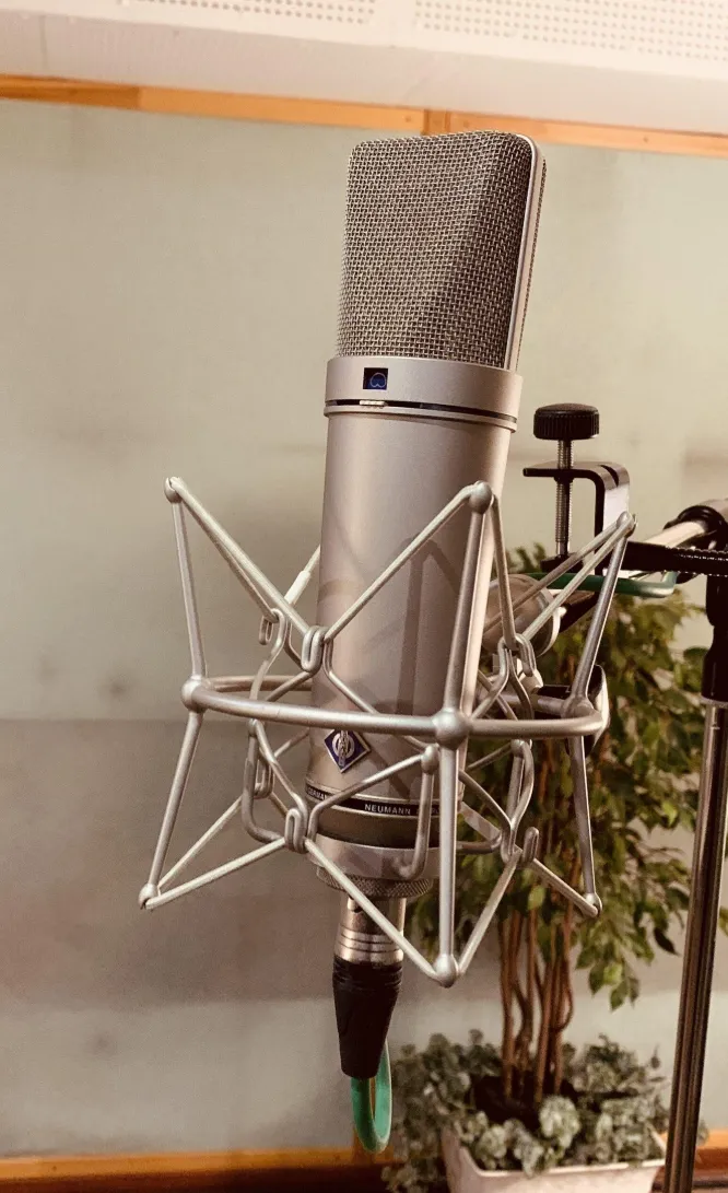 Студия звукозаписи Parksound 