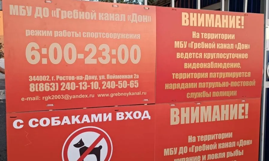 Большое фото 4