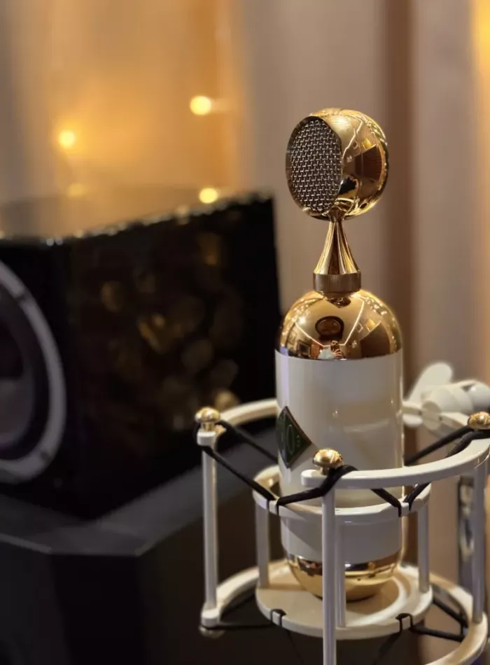 Студия звукозаписи Про-Голоса