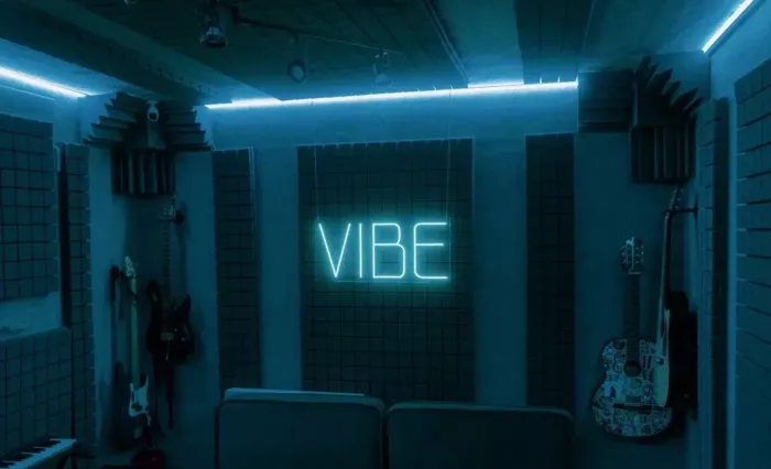 Студия звукозаписи Вайб Рекордс