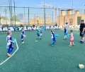 Миниатюра 14