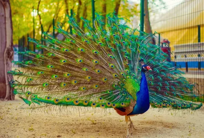 Парк им. Октябрьской Революции