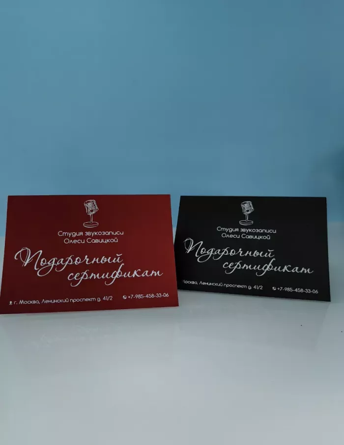 Студия звукозаписи Олеси Савицкой