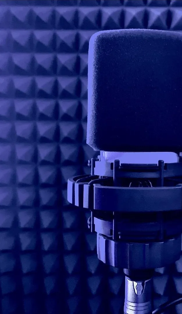 Студия звукозаписи WoodyBoxRec