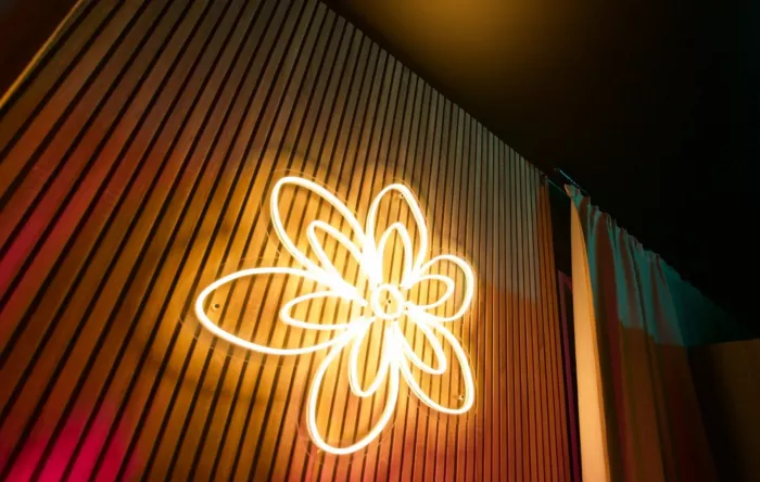 Студия звукозаписи Got Vibes Studio