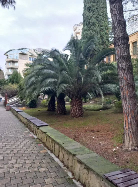 Центральный районный суд г. Сочи