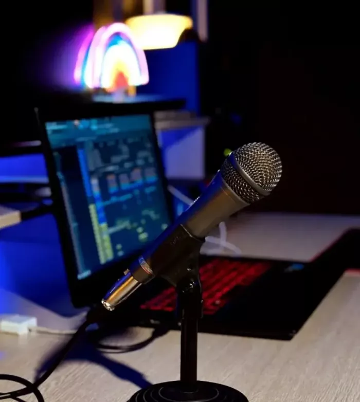 Студия звукозаписи Music room