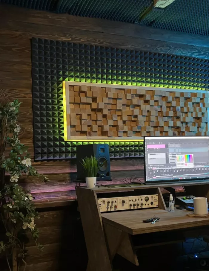 Студия звукозаписи Antisone Sound 