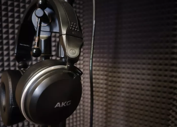 Студия звукозаписи Braverman music