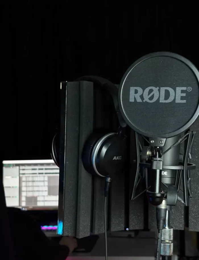 Студия звукозаписи Braverman music