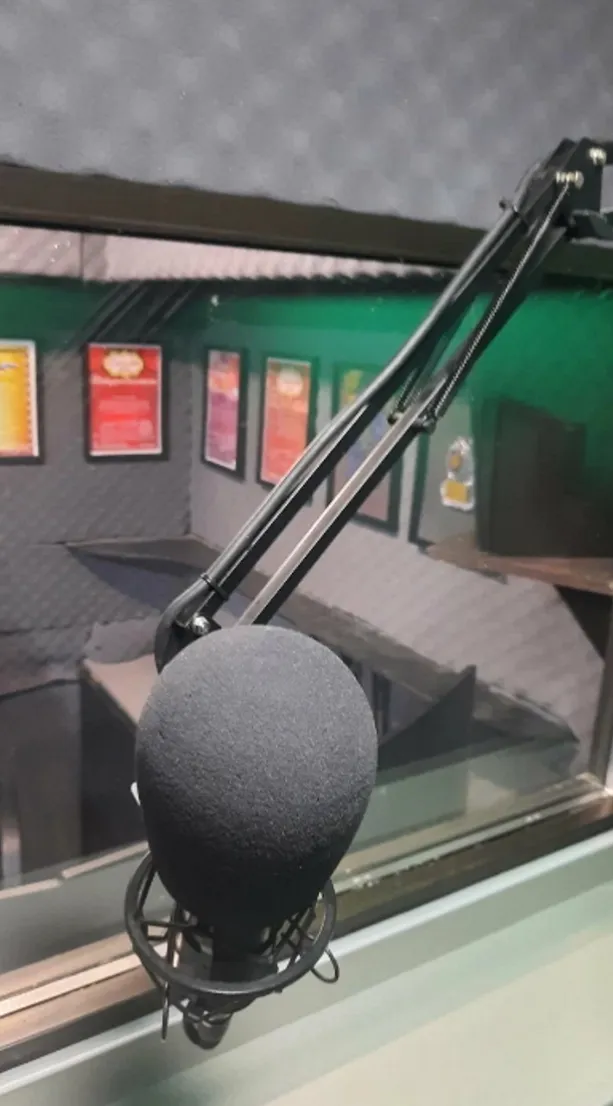 Студия звукозаписи Лира