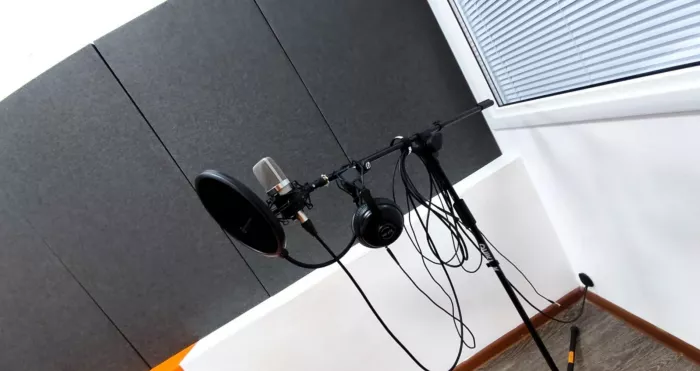 Студия звукозаписи Талантида