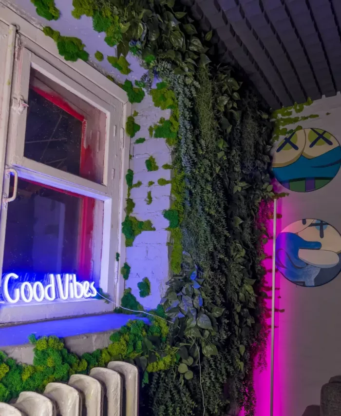 Студия звукозаписи Вайб Рекордс