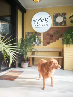Центр Оздоровления AYO AYO Wellness