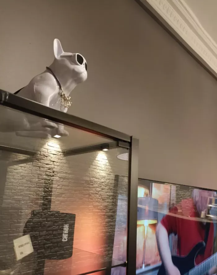 Студия звукозаписи Сигнон