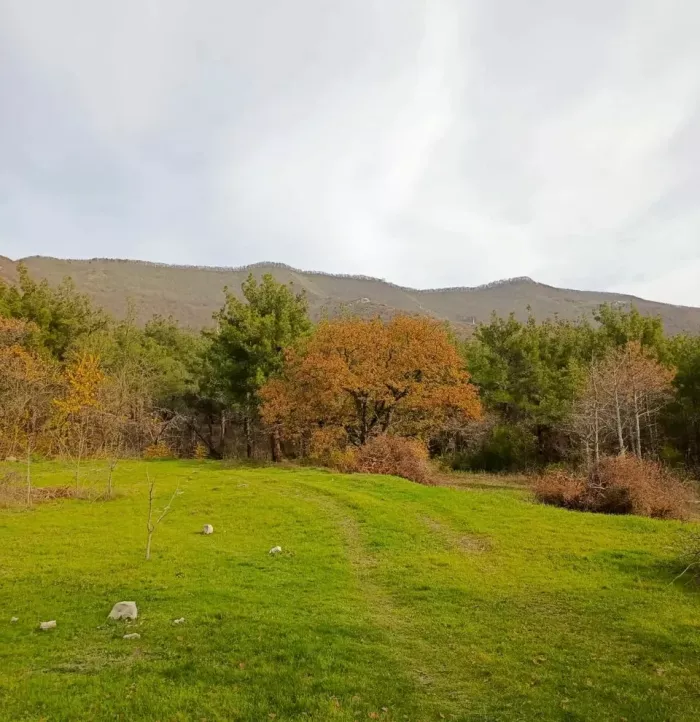 Парк Адмирала Врунгеля Изумрудный Парк