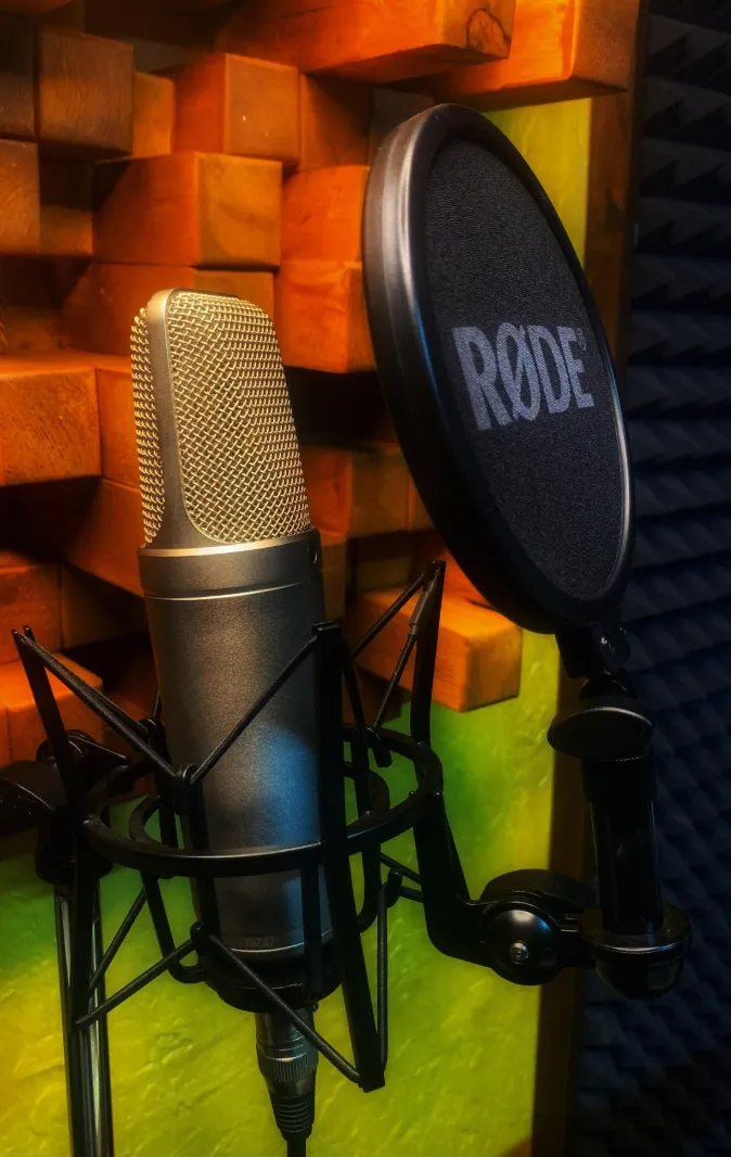 Студия звукозаписи Про-Голоса