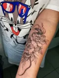 Миниатюра 15
