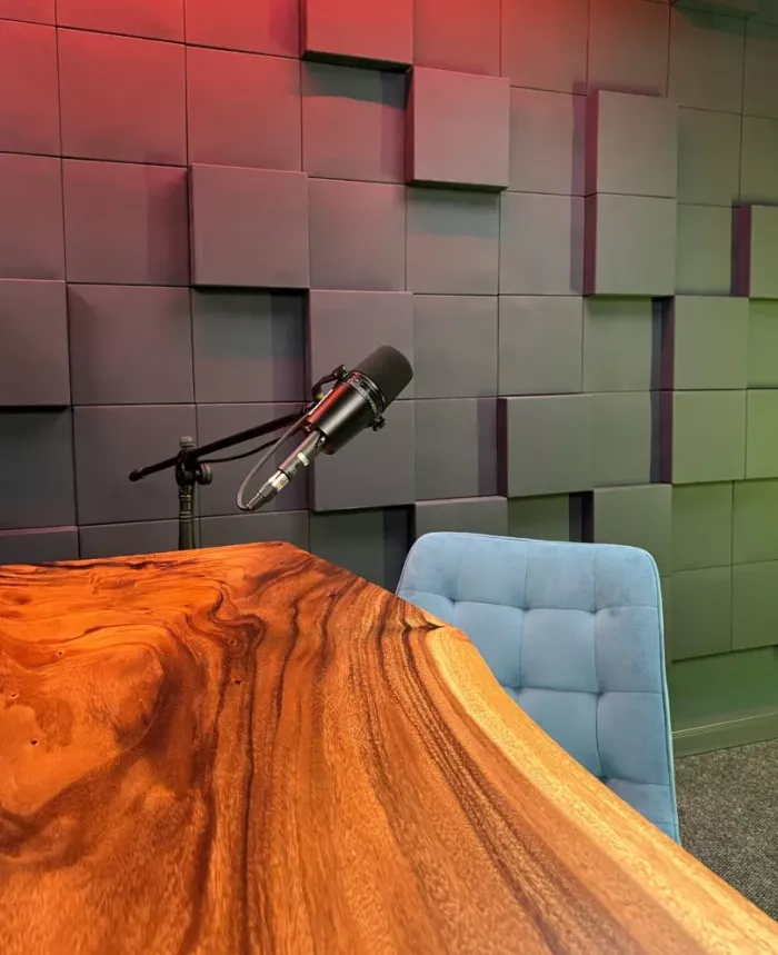 Студия звукозаписи Студия313 