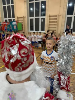 Детская футбольная школа Метеор