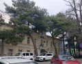 Миниатюра 4