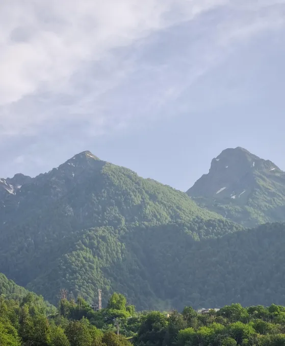 Парк Времена года