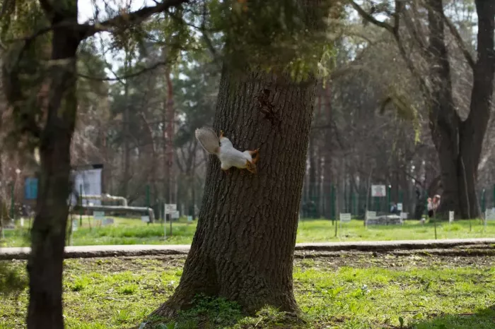 Парк Солнечный Остров 