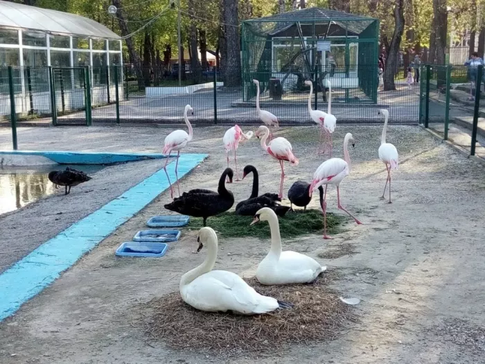 Парк им. Октябрьской Революции