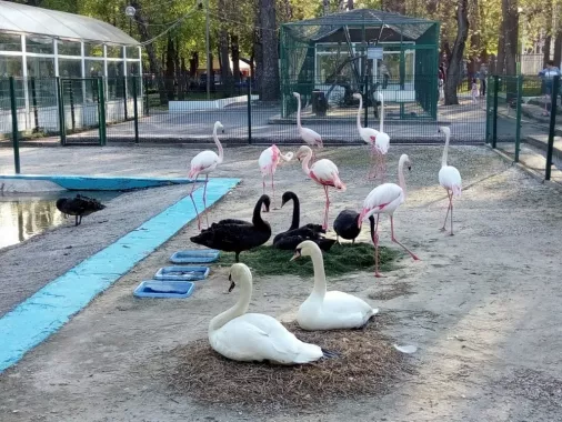 Парк им. Октябрьской Революции