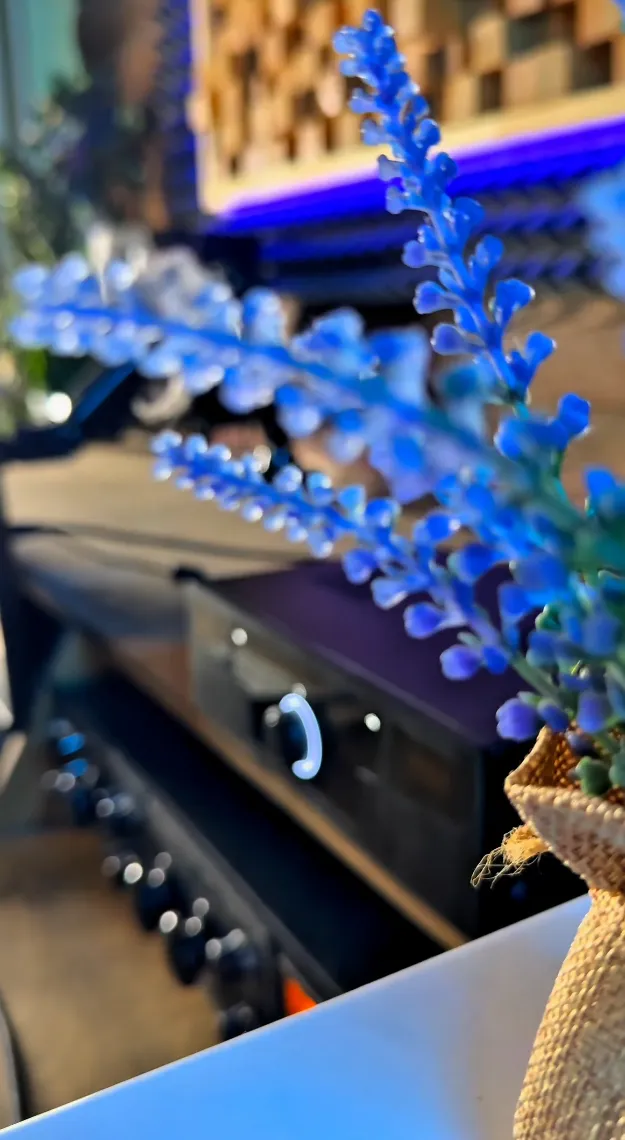 Студия звукозаписи Antisone Sound 