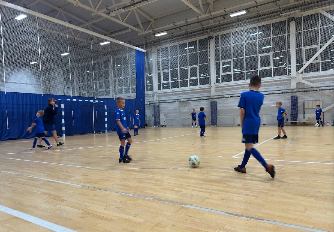 Официальная футбольная школа Динамо