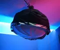 Миниатюра 11
