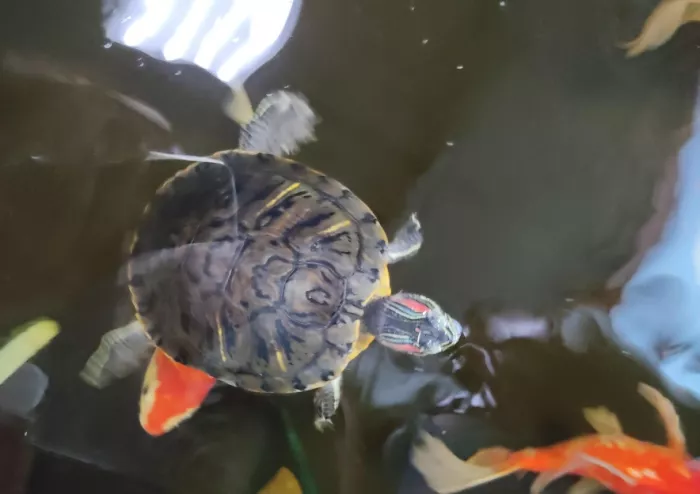 Океанариум "Риф"