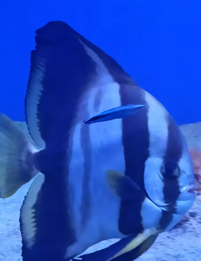 Океанариум "Риф"