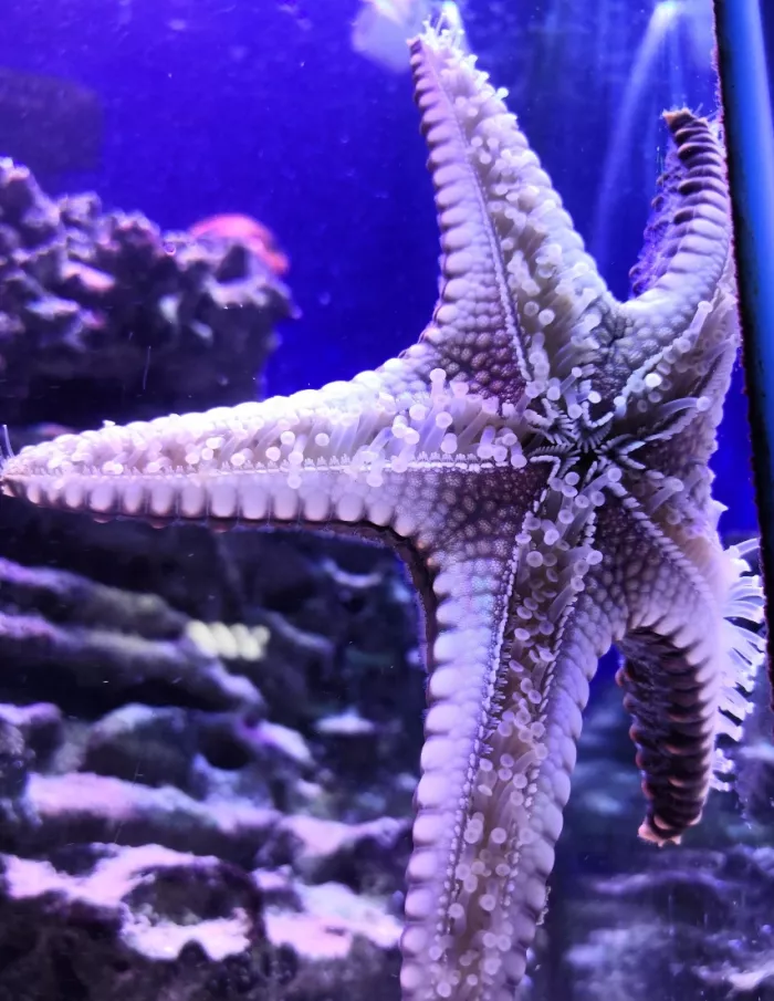 Океанариум "Риф"