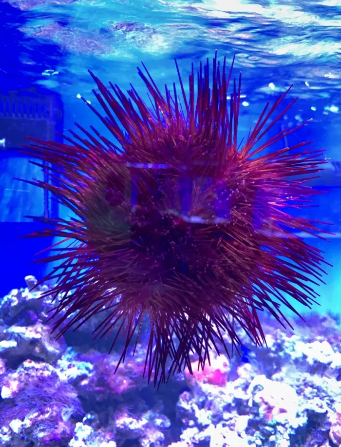 Океанариум "Риф"