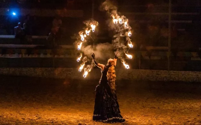 Конно-трюковой театр "Park x-trim"