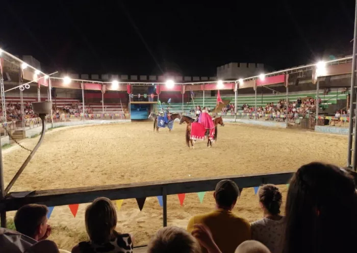 Конно-трюковой театр "Park x-trim"