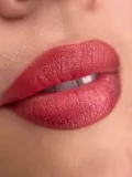 Миниатюра 12