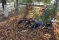 Миниатюра 9