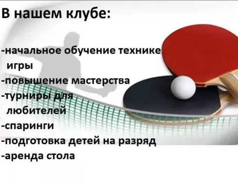 Клуб настольного тенниса "Максимум"