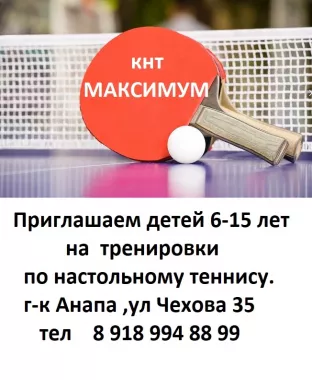 Клуб настольного тенниса "Максимум"