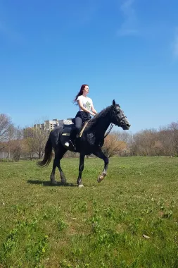 Кони Сукко