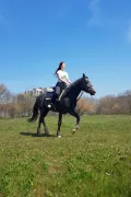 Миниатюра 8