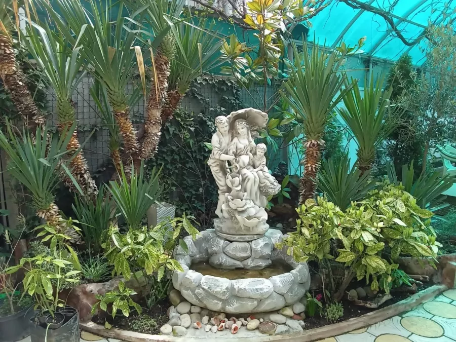 Гостевой дом Солнышко в Анапе: Гостиница, Отель, Гостевой дом ,