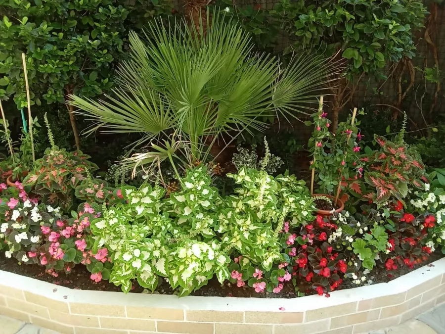 Гостевой дом Солнышко в Анапе: Гостиница, Отель, Гостевой дом ,