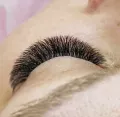 Миниатюра 13