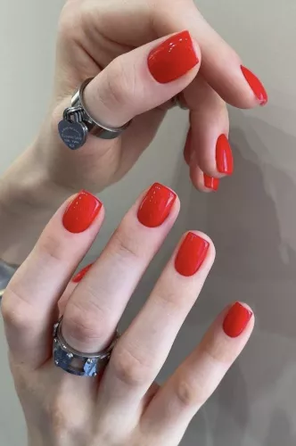 The Girl House  в  Анапе