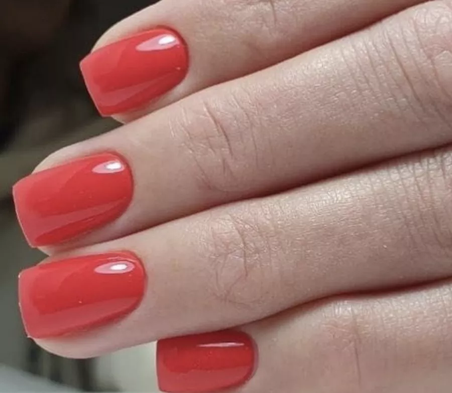 Салон красоты Beauty Studio в Анапе: Брови, Стрижка, Ногти, Волосы,